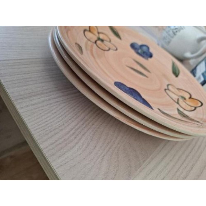 3 gdes  assiettes pour Four