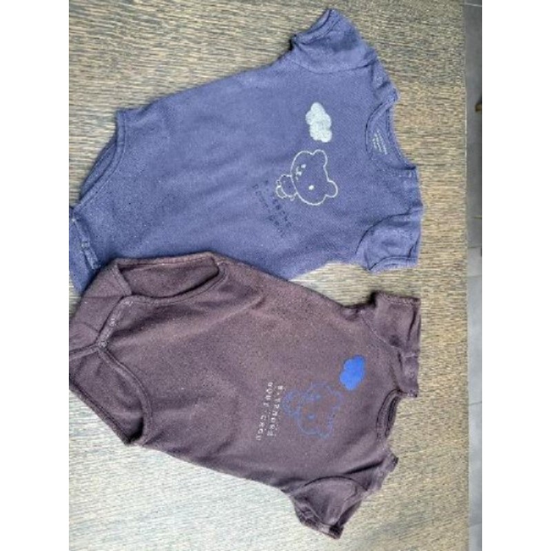Lot de 2 bodies garçon bleu et marron 9 mois