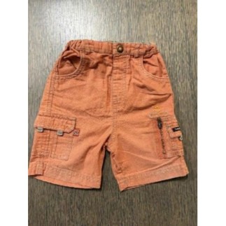 Bermuda orange Sergent...
