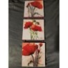Triptyque Coquelicot