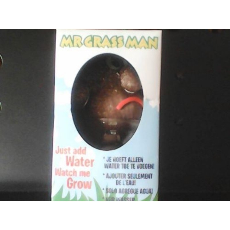 Mr GRASS MAN: Pour voir pousser des cheveux en herbe et jouer au coiffeur.