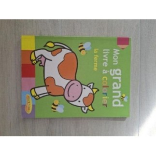 Mon grand livre à colorier...