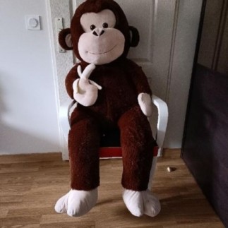 Grande peluche singe...