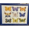 Puzzle papillon encadré ANNE GEDDES