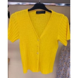 gilet jaune "bergère de...