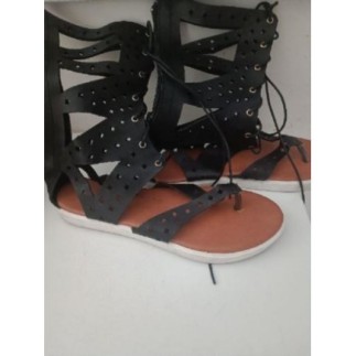 Spartiates noires Licean T41