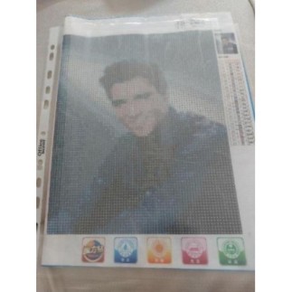 Broderie diamant Elvis...