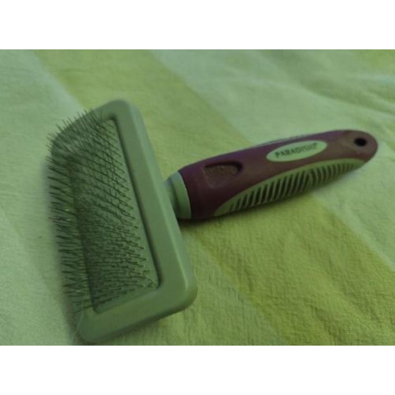 Brosse animal