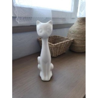Petit Chat blanc