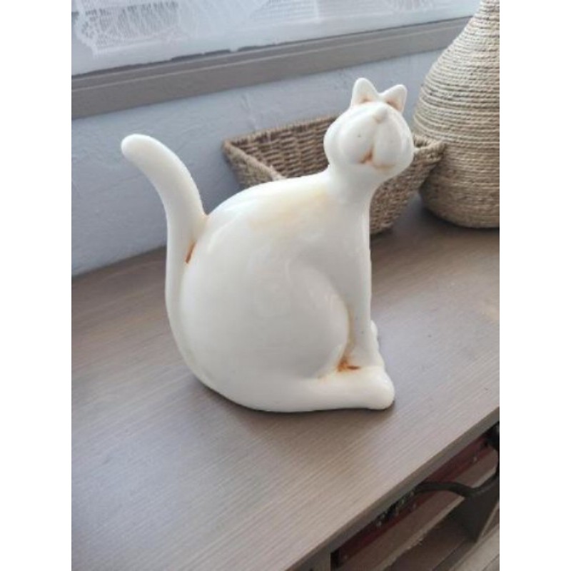 Gros chat