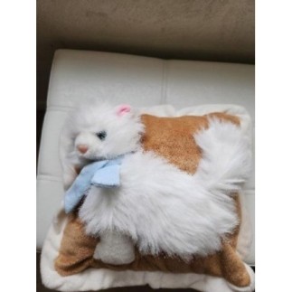 Coussin chat