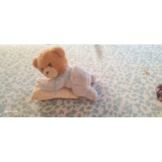 petit nounours adorable...