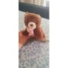 Petit ourson marron avec son douloureux rosr