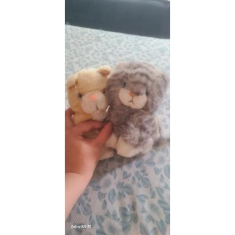 Lot de 2 chatons (un gris et un jaune)