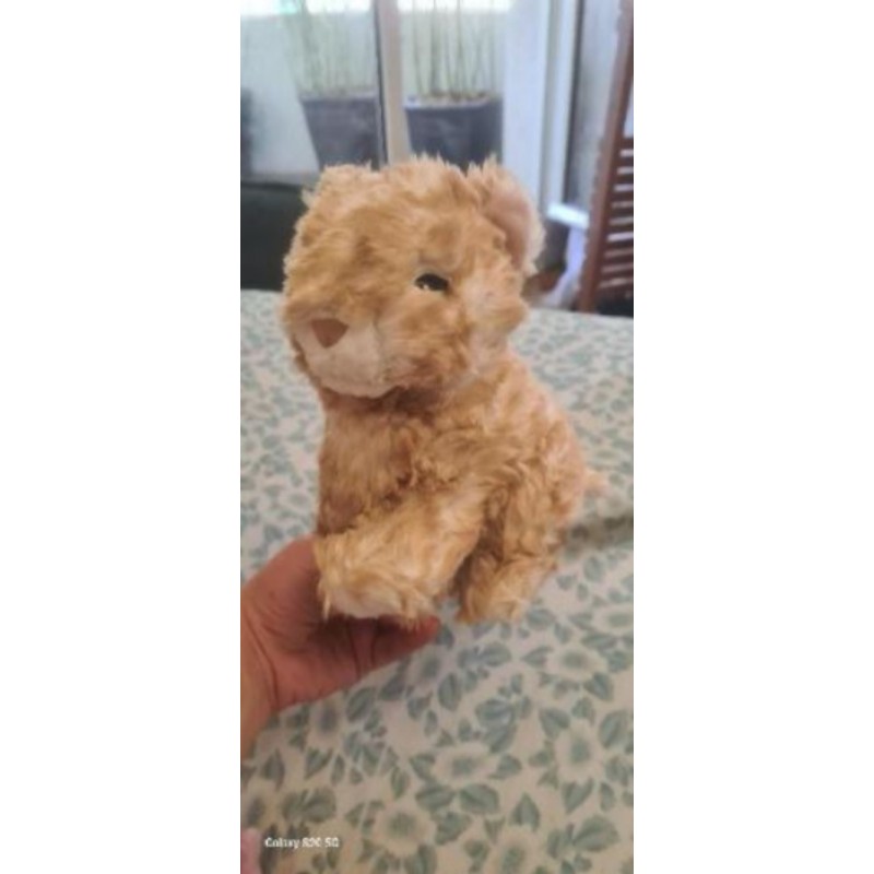 Peluche chat