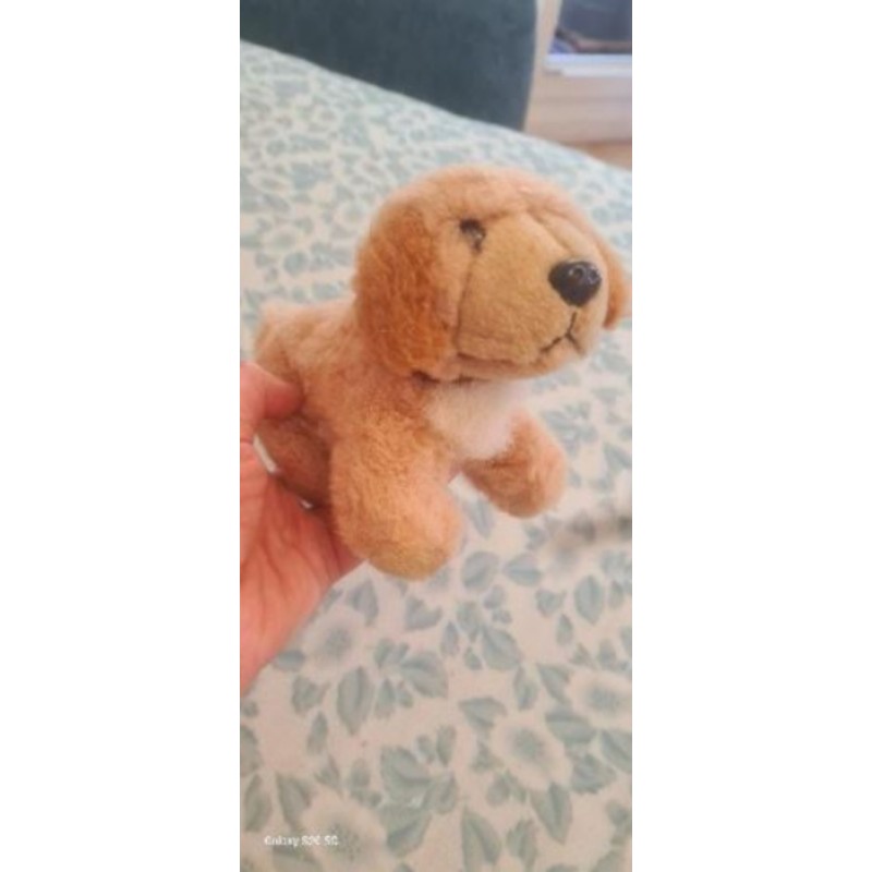 Peluche petit chiot avec collier