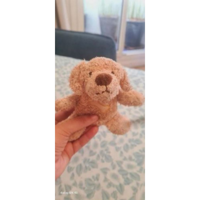 Doudou chien
