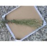 Bouquet de lavande 1€