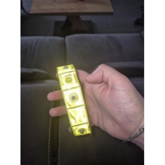 Collier lumineux pour chien