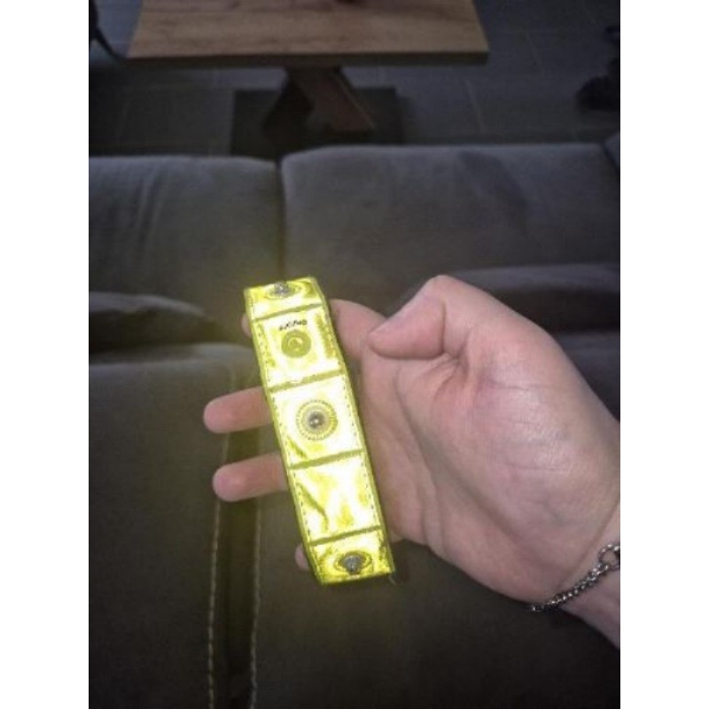Collier lumineux pour chien