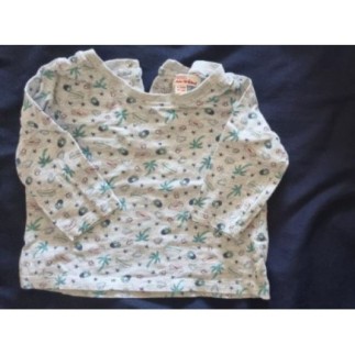 Tee-shirt 9 mois du pareil...