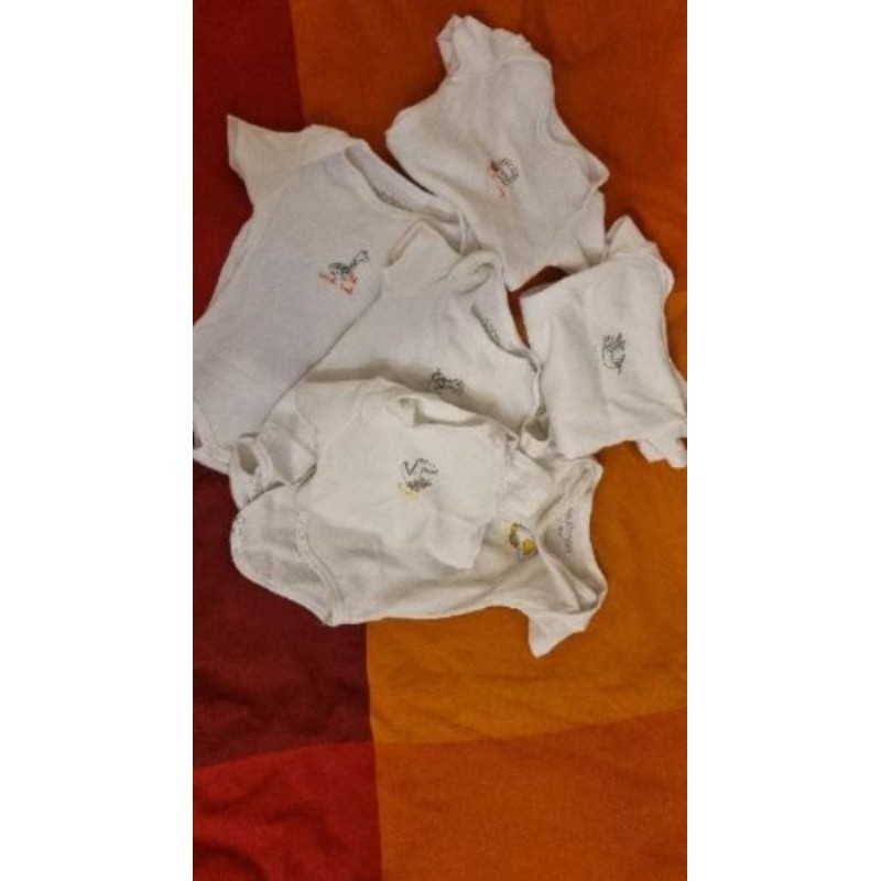 Lot 6 bodies 68cm inextenso 