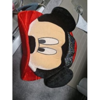 Chapeau disney land paris 