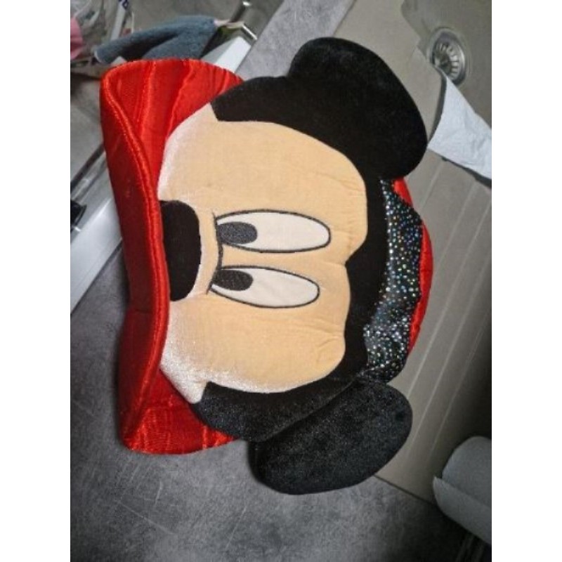 Chapeau disney land paris 