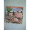 Le cochon 