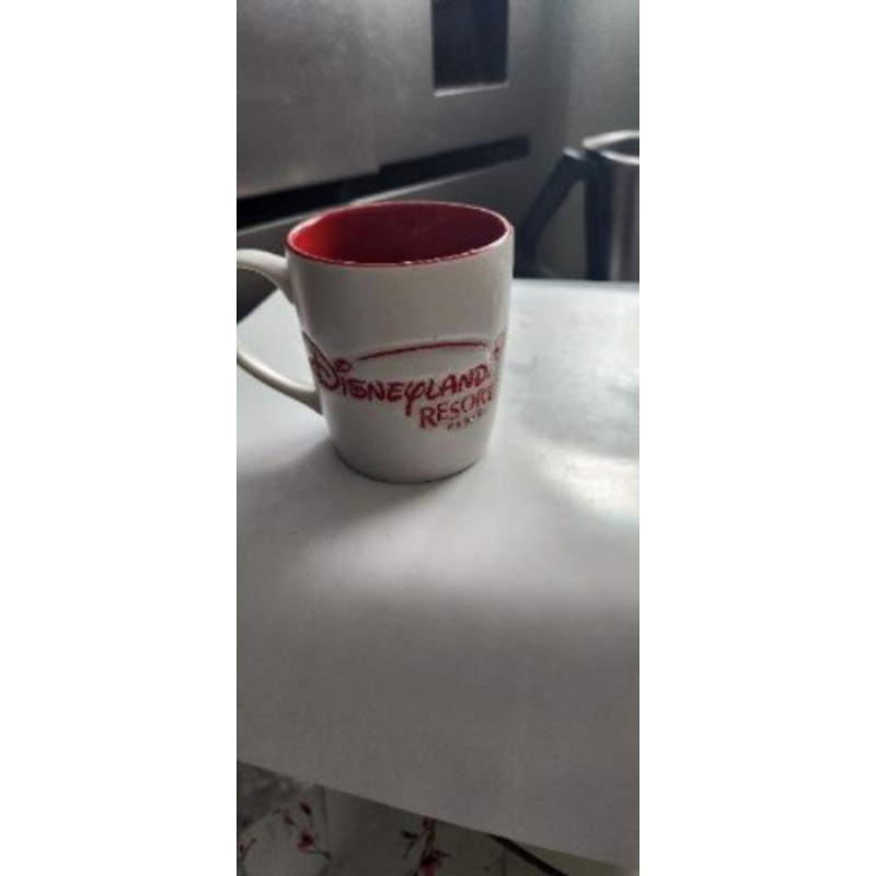 Tasse Disney Land 