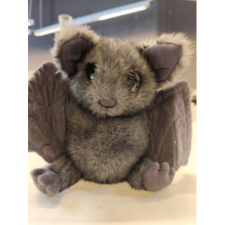 Chauve souris 