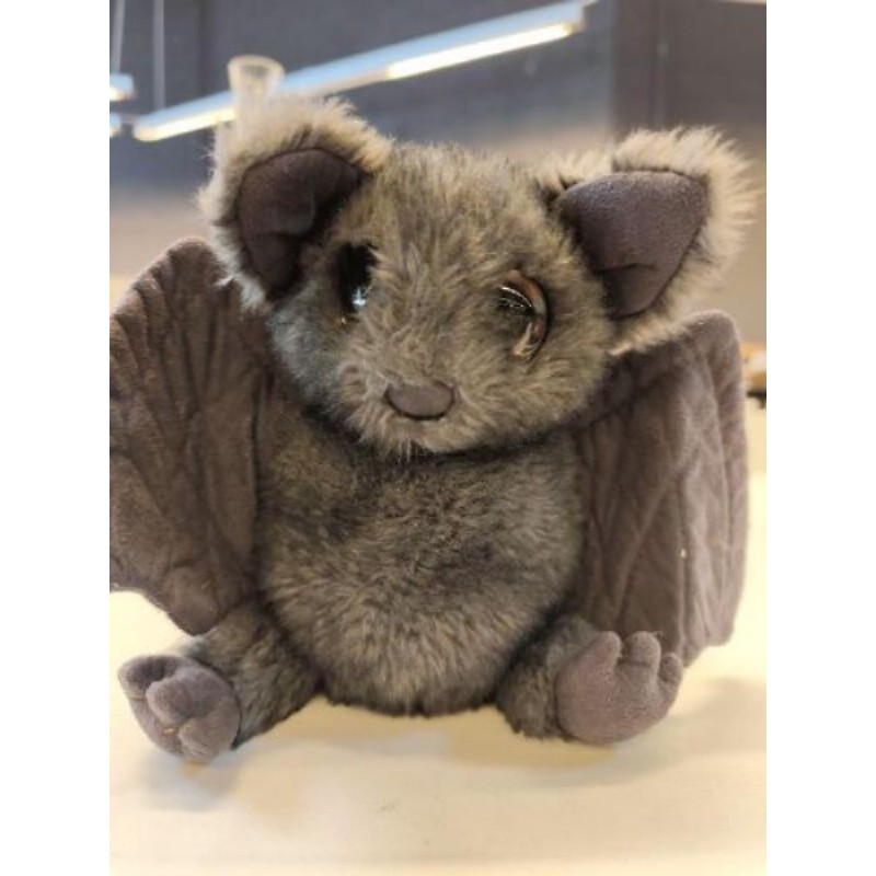 Chauve souris 