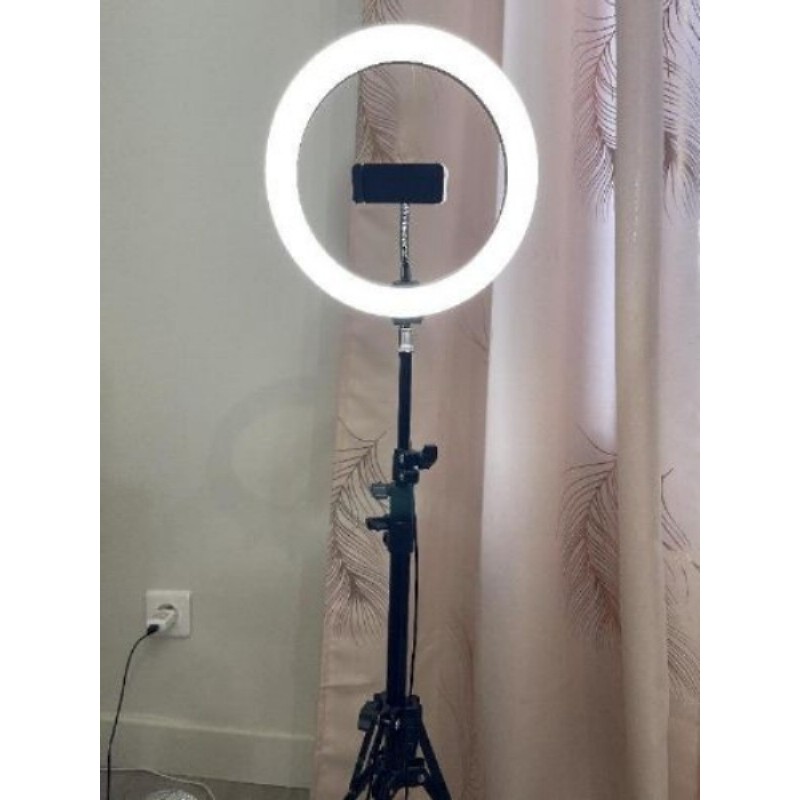 Ring light 4 couleurs 