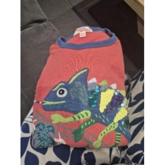 T shirt rouge caméléon DPAM...