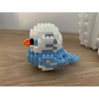 Mini perruche bleue en...