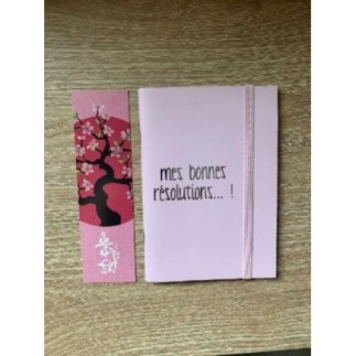 Petit carnet pages blanches...