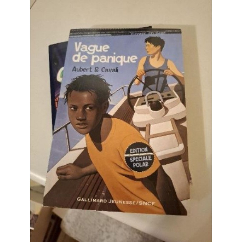 LIVRE VAGUE DE PANIQUE