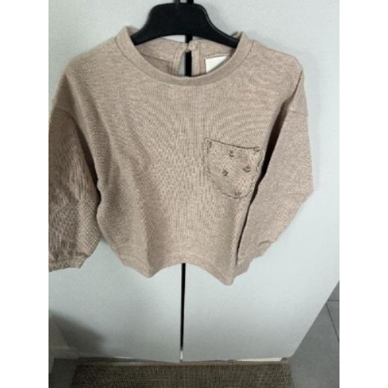 Pull neige poche fleuri Zara 
