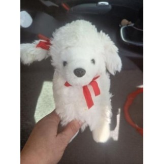 CHIEN PELUCHE 