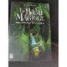 Balais magique 