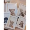 Lot 5 cadres chambre enfant lion/éléphant/singe/tigre/zebre