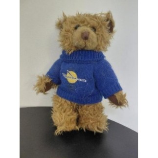 Nounours avec pull bleu...