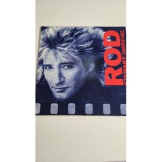 33T ROD STEWART CAMOUFLAGE