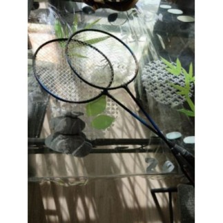 Raquettes badidton 