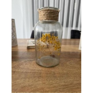 Vase à suspendre 