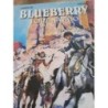 BD blueberry fort navajo