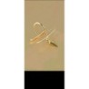 FAUX PIERCING doré lévre acier inoxydable
