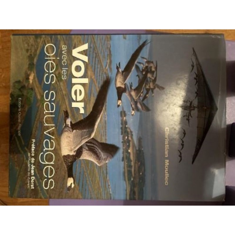 Voler avec les oies sauvages