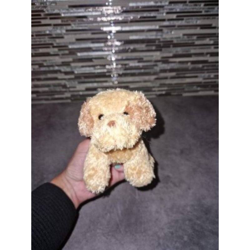 Peluche tb etat