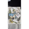 Livre l'atelier des sorcières tome 7 